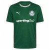 Palmeiras Koti 2026-27 - Jalkapallo Pelipaidat (S/S)