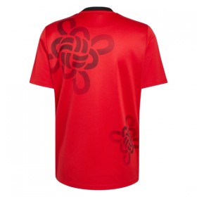 Manchester United Cultural Story Special Edition 2025-26 - Jalkapallo Pelipaidat (S/S)