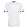 Unkari Vieras Mm-Kisat 2026 - Jalkapallo Pelipaidat (S/S)