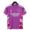 Arsenal Maalivahti Violetti 2026-27 - Jalkapallo Pelipaidat (S/S) Arsenal Maalivahti Violetti 2026-27 - Jalkapallo Pelipaidat (S/S)