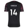 Liverpool Chiesa 14 Kolmas 2026-27 - Jalkapallo Pelipaidat (S/S) Liverpool Chiesa 14 Kolmas 2026-27 - Jalkapallo Pelipaidat (S/S)